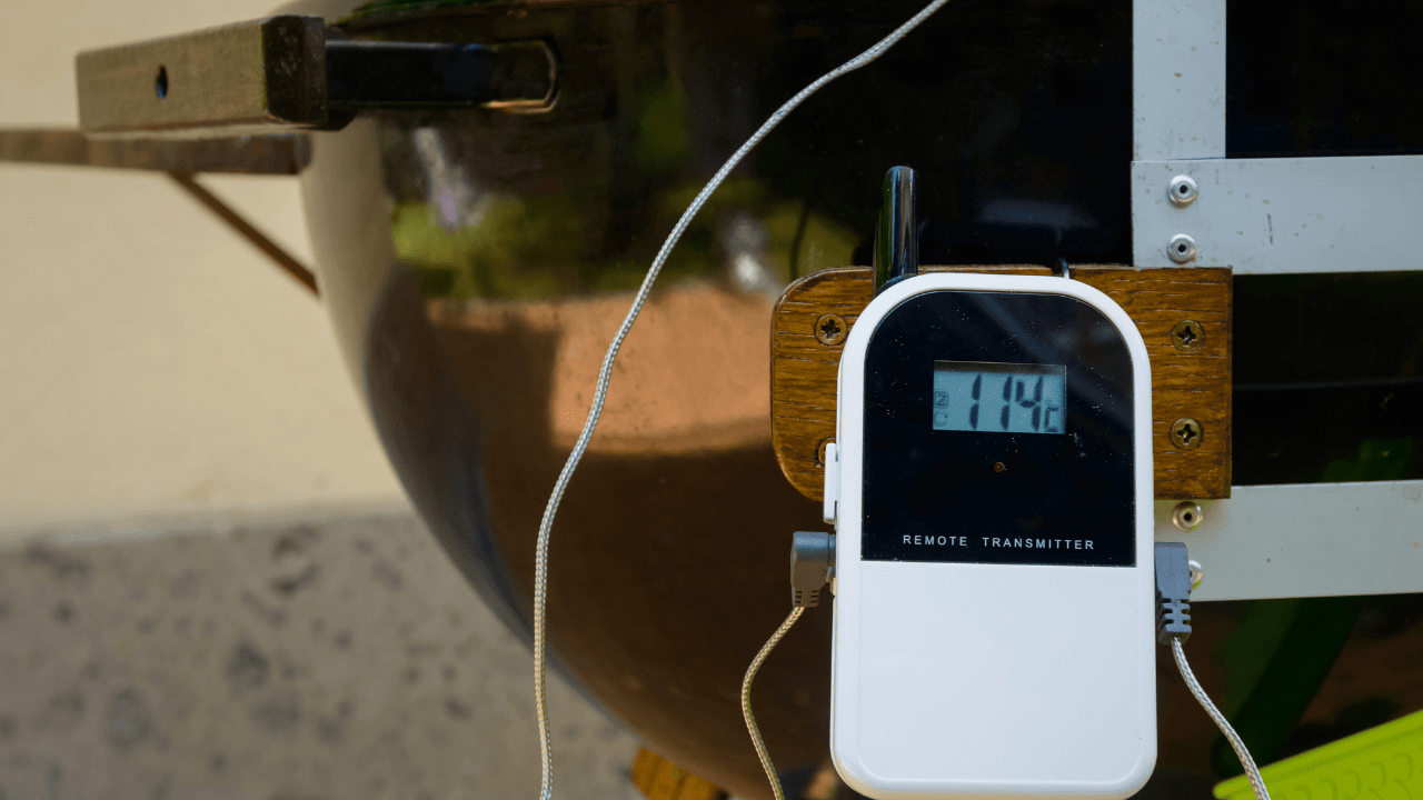7 Best Smoker Thermometers To BBQ Like A Pitmaster [2023]
