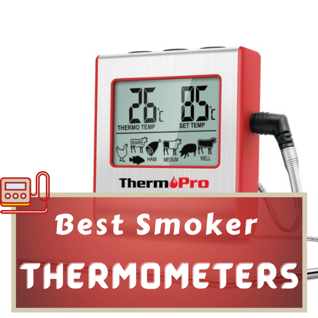  7 Best Smoker Thermometers To BBQ Like A Pitmaster [2024] 