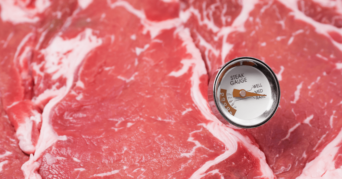 How To Use A Meat Thermometer Correctly [2023]